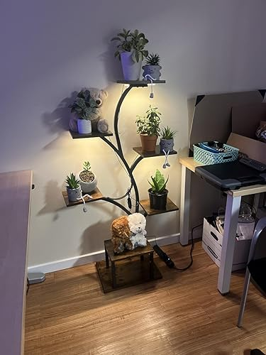 LumiPlant in a home office corner