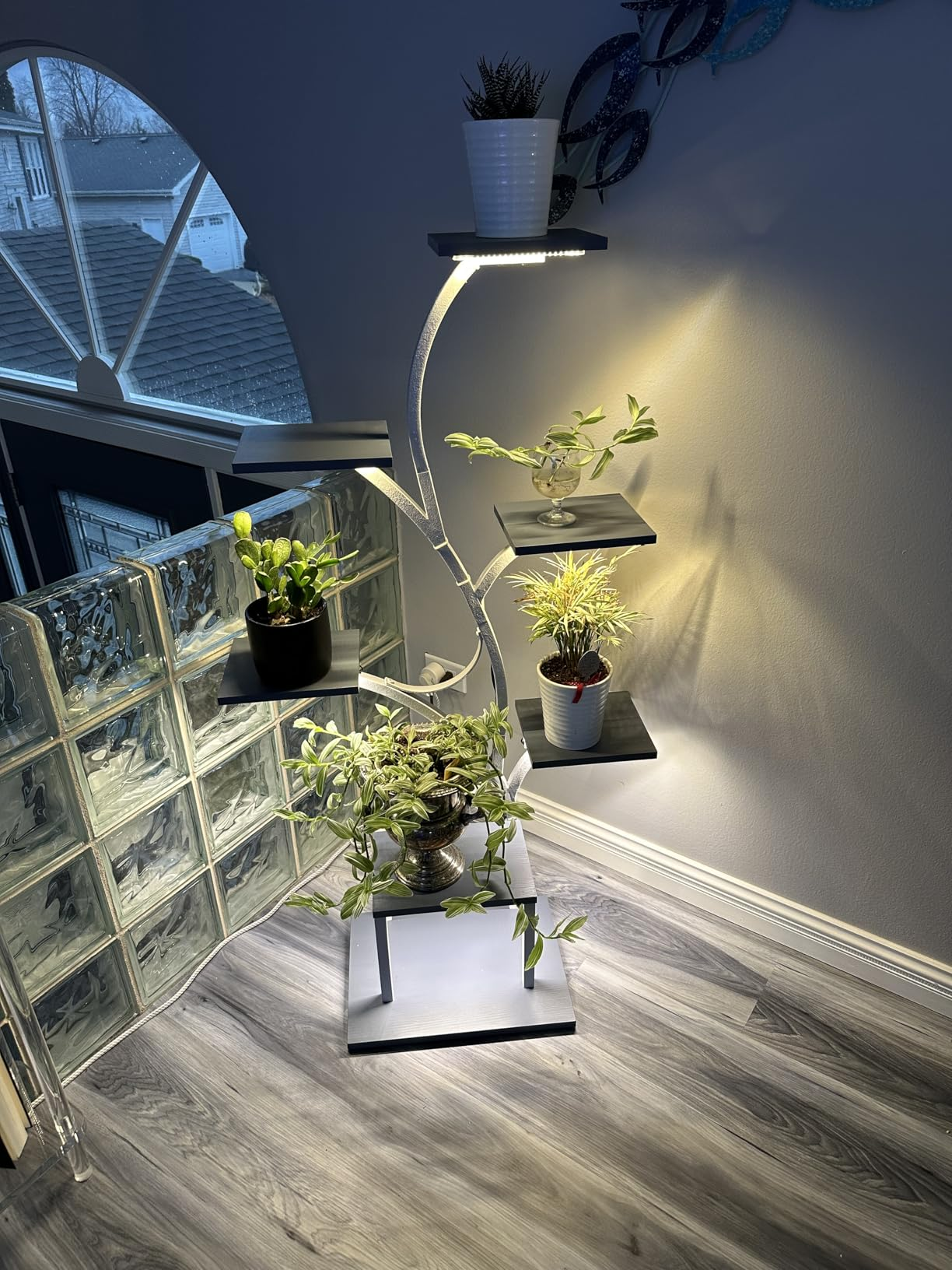 LumiPlant near a bright window