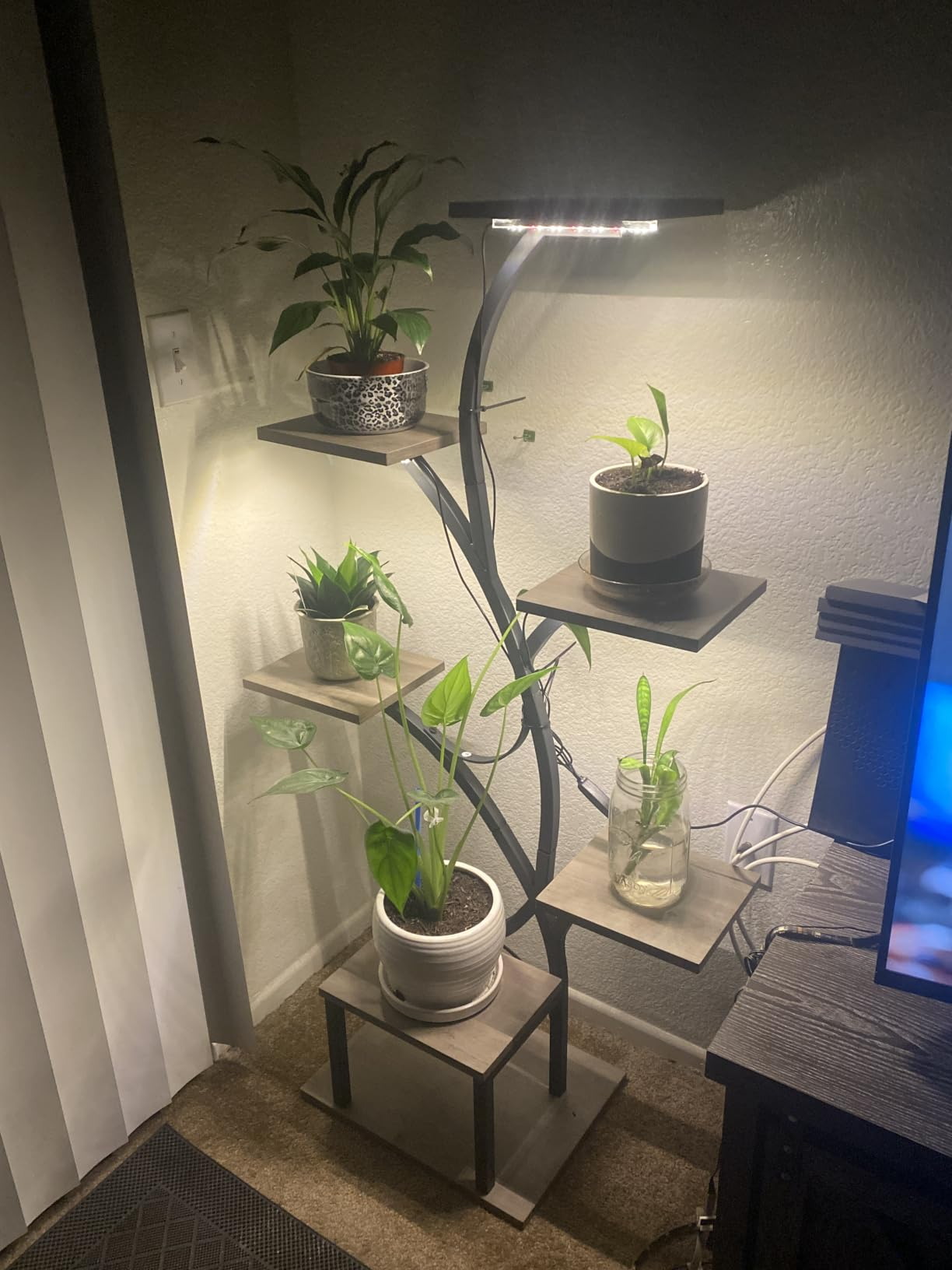 LumiPlant in a living room with grow light
