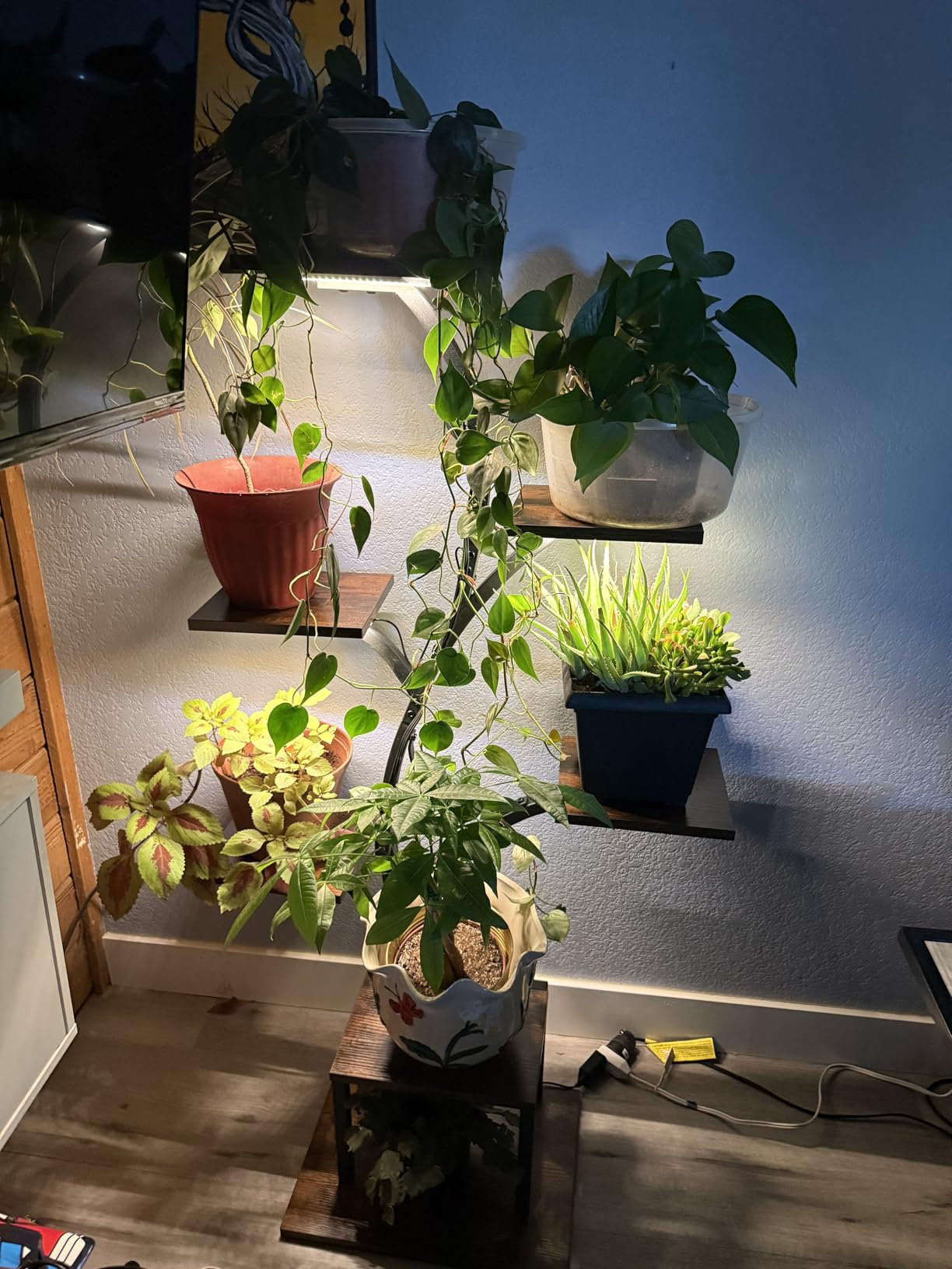 LumiPlant plant display with several pots