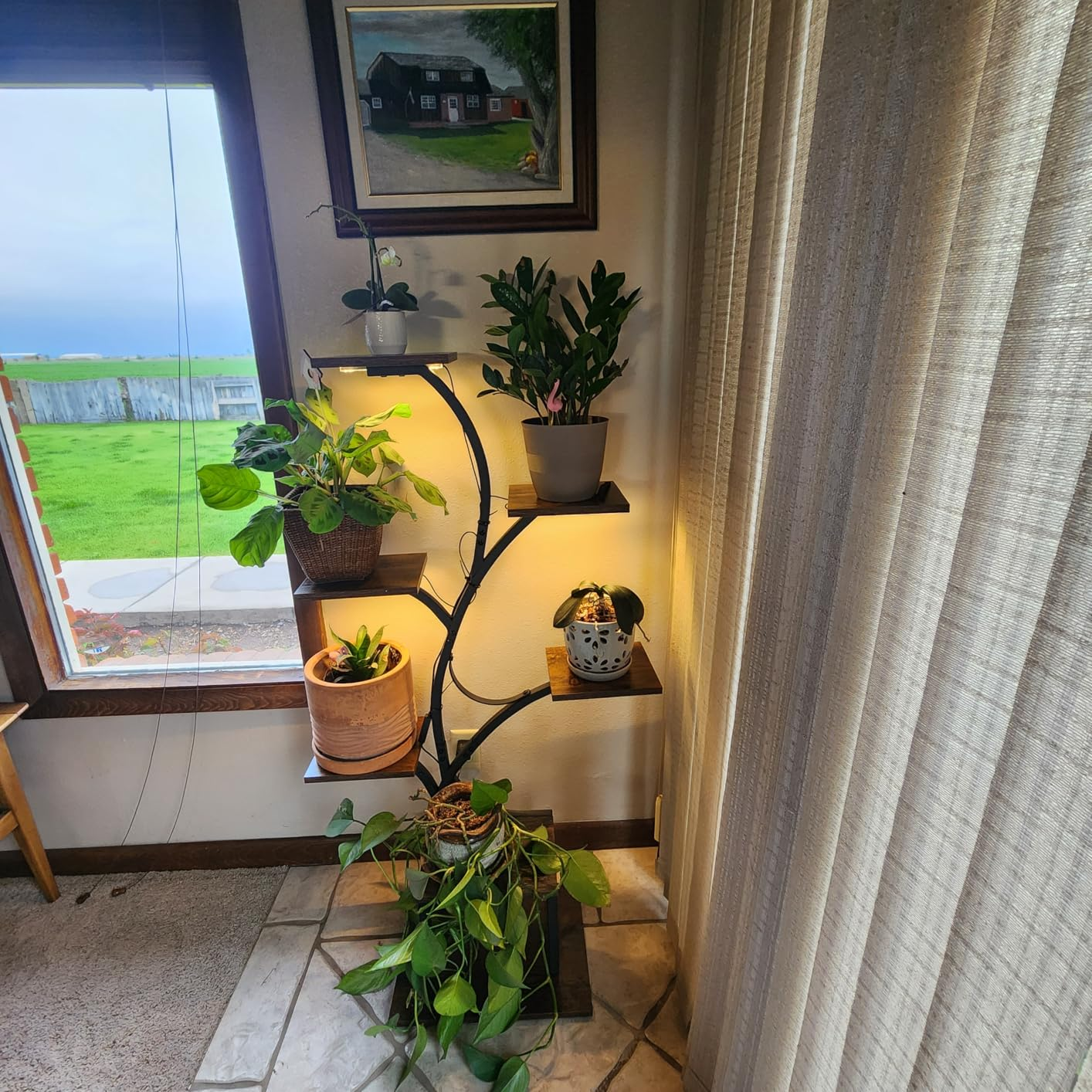 LumiPlant beside a window and curtain